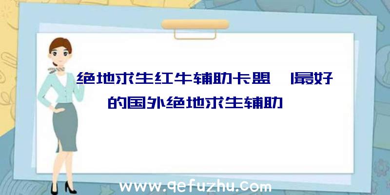 「绝地求生红牛辅助卡盟」|最好的国外绝地求生辅助